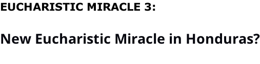 EUCHARISTIC MIRACLE 3:  New Eucharistic Miracle in Honduras?
